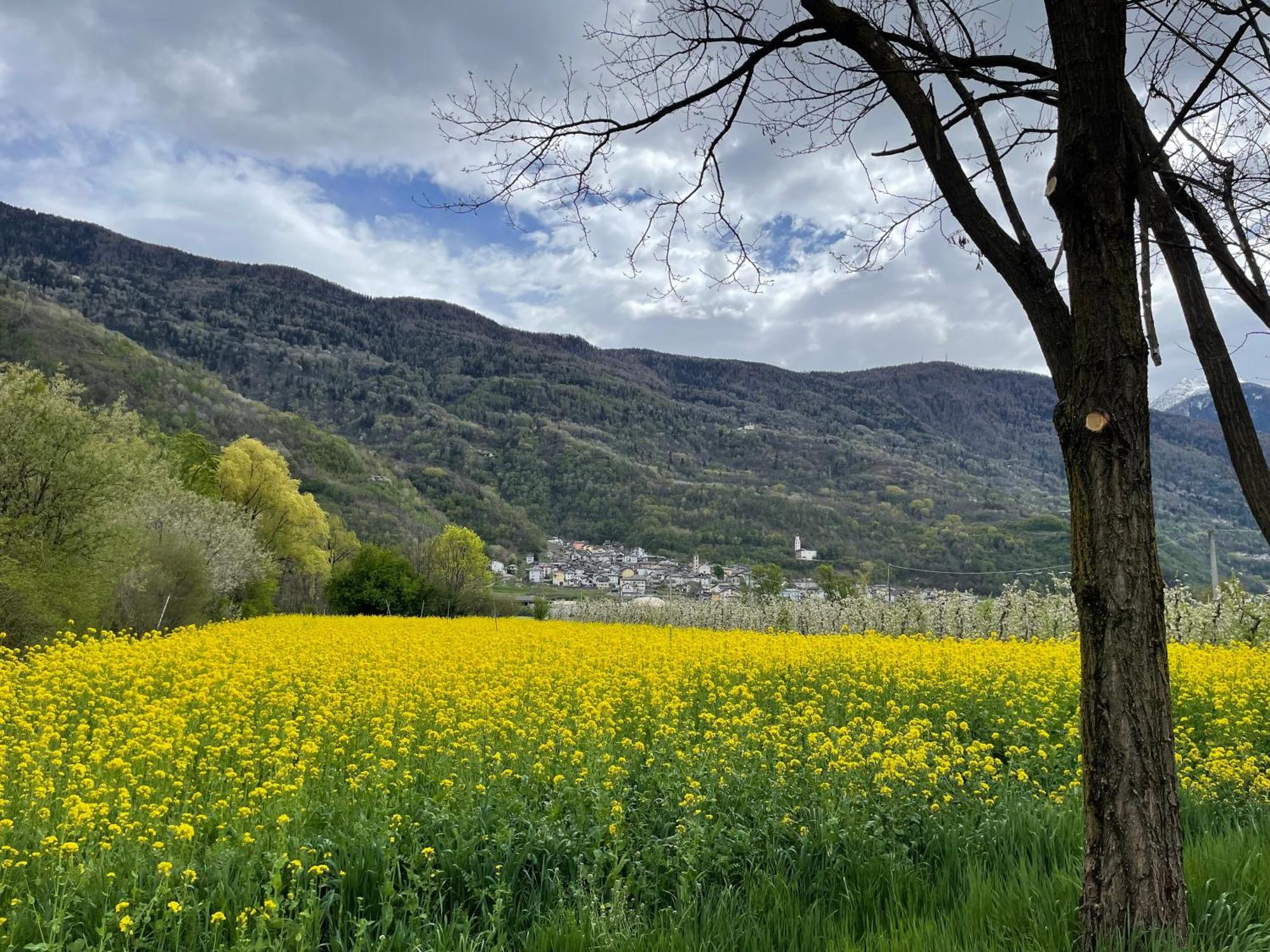 Ca Marasciol A 5 Minuti Dal Trenino Rosso Del Bernina Express Hotel Villa di Tirano Bagian luar foto